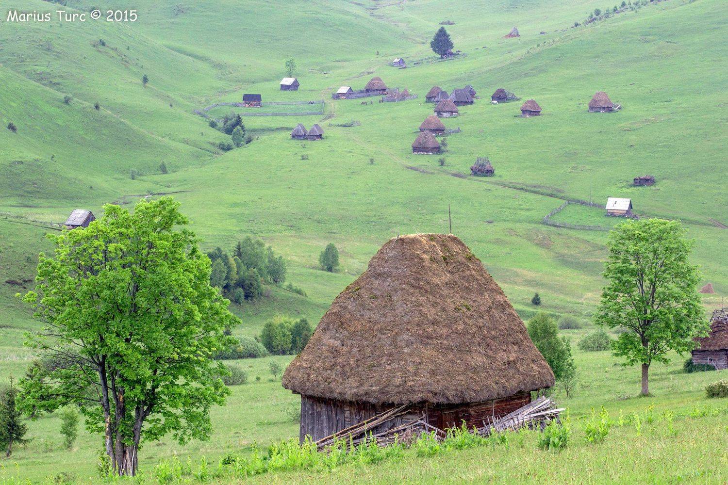 nature,landscape,trees,hills,colors,house,silence, Marius Turc