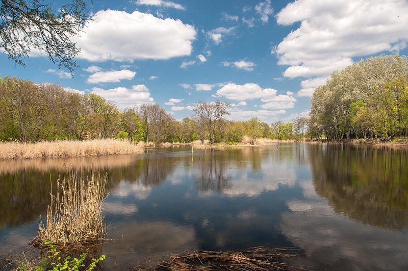 *** фото превью