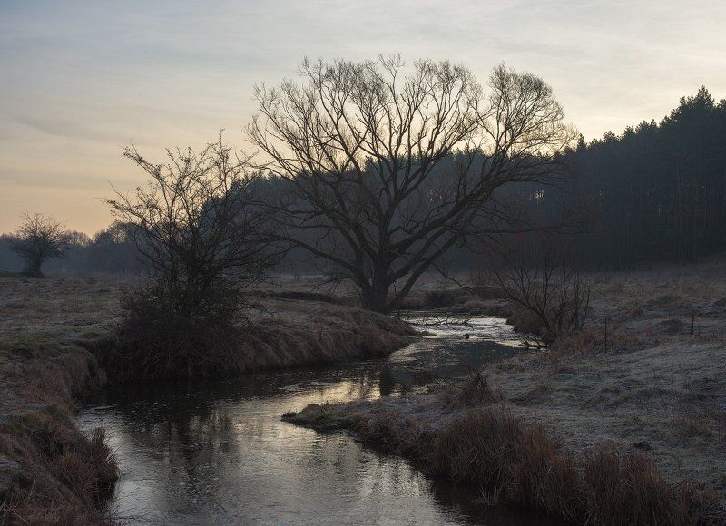 Мартовские сумерки... фото превью