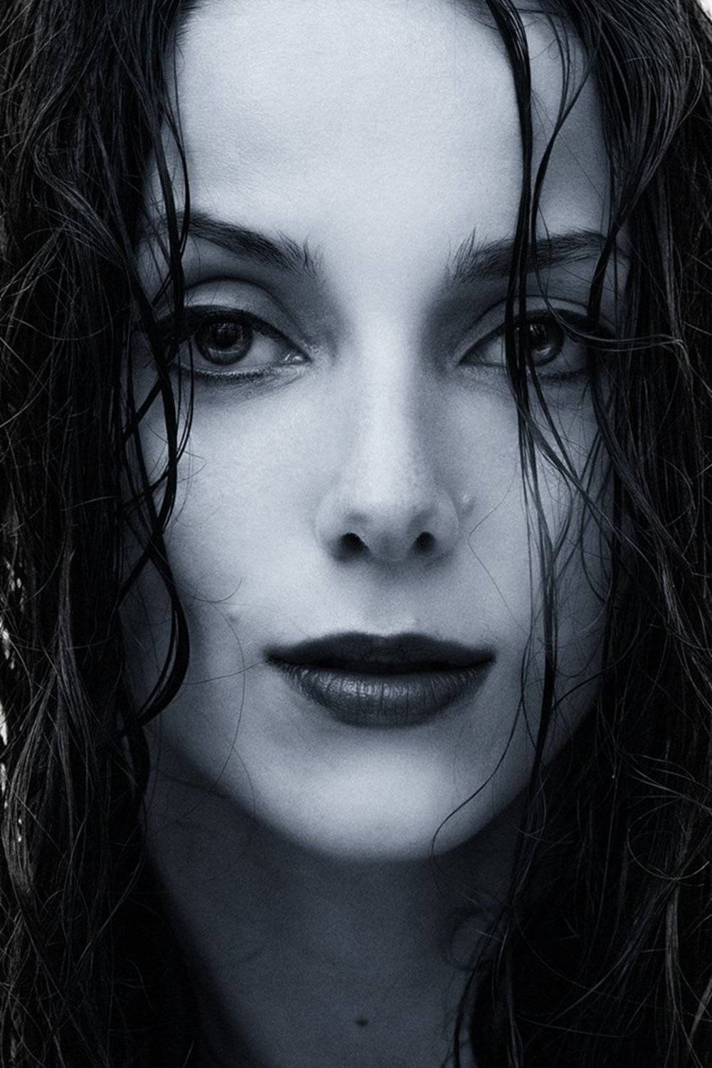 , Влад Шутов