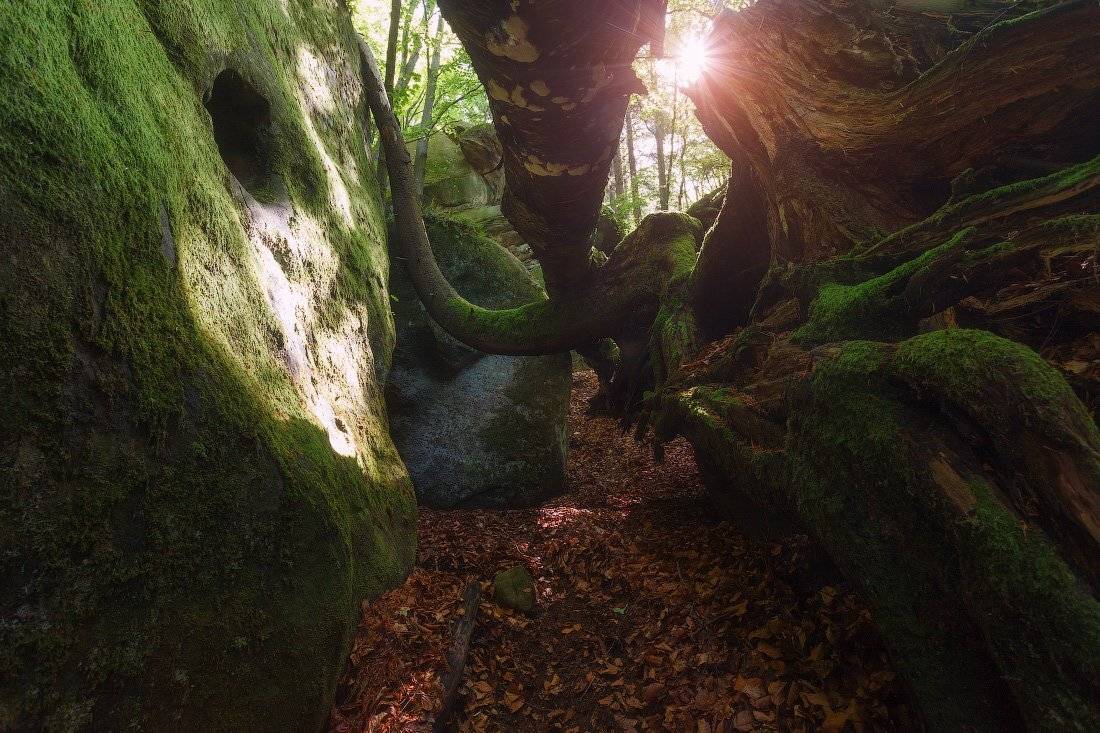 , Ярослав Тюрменко (Jaremi)