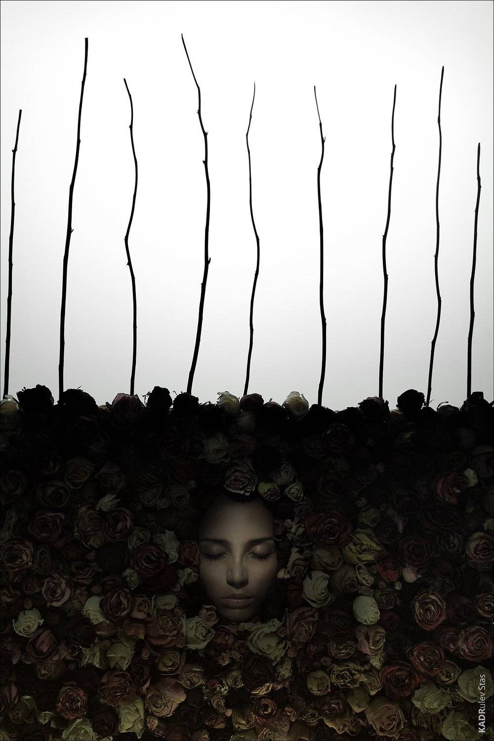 сюр, Стас Кадрулёв