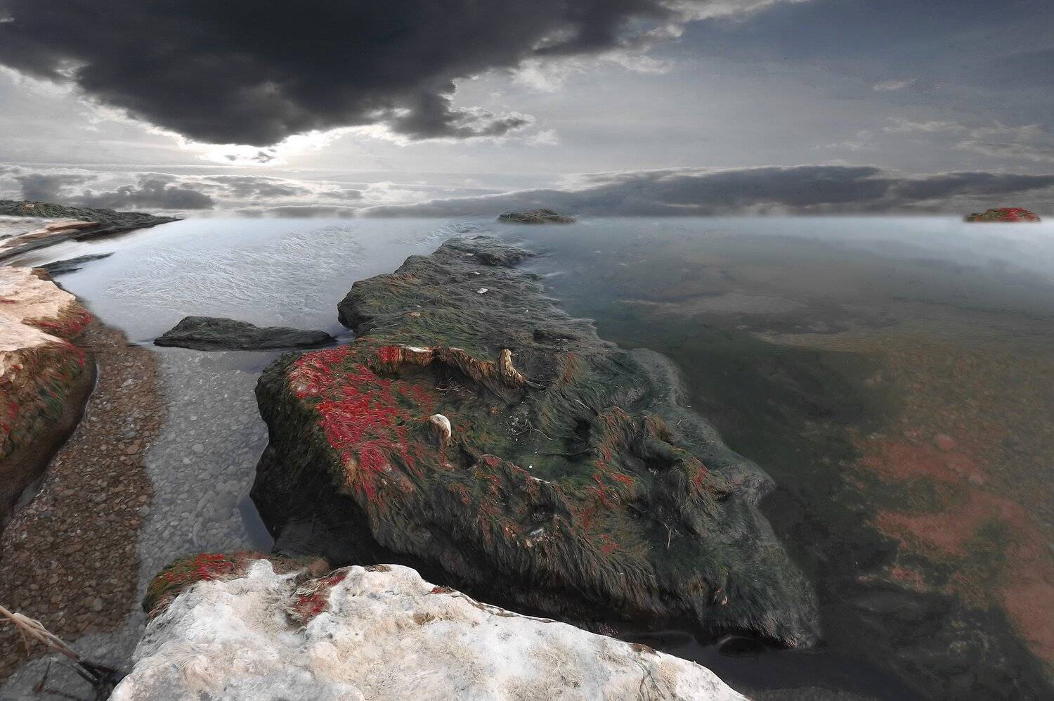 одесса, Сергей Кошелев