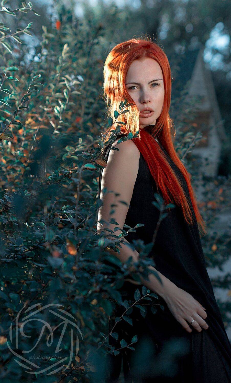 , Медочек Сладенький