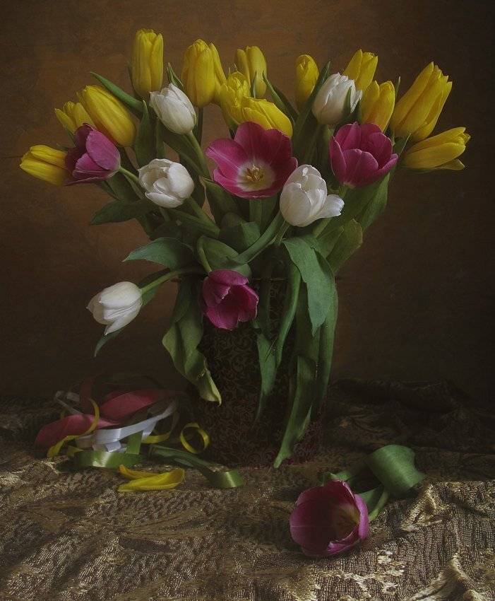 , ТАТЬЯНА ЗАХАРОВА