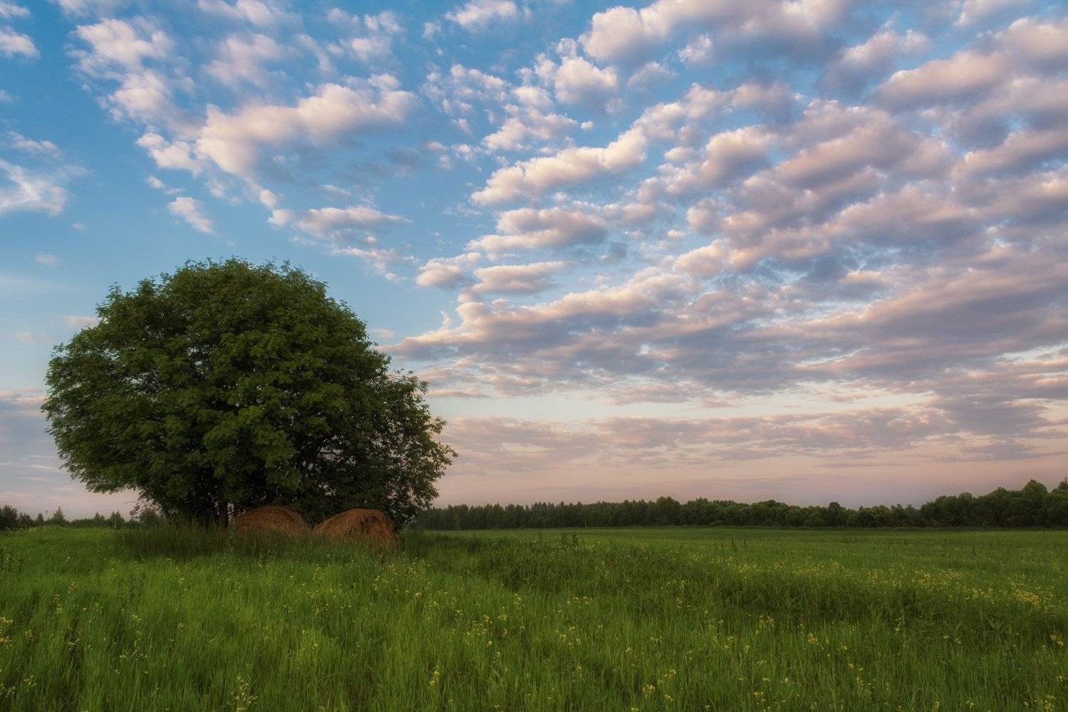 , Курдюков Михаил