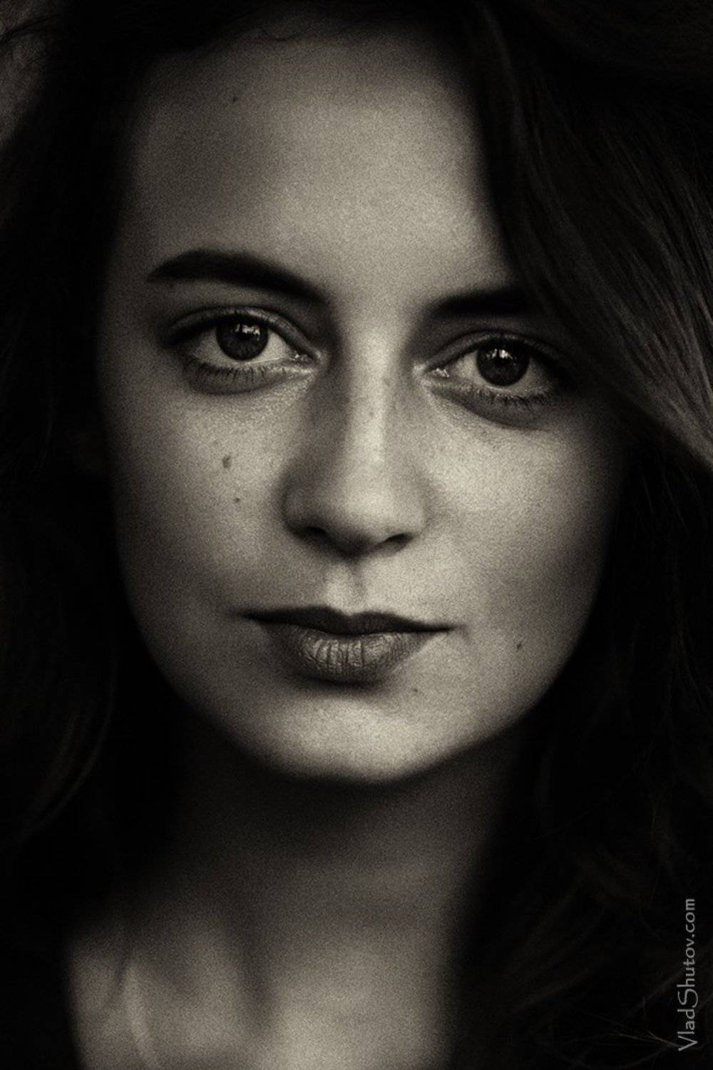 , Влад Шутов