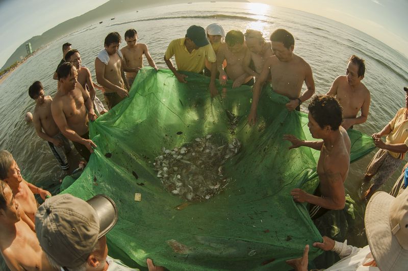 Mẻ lưới. фото превью