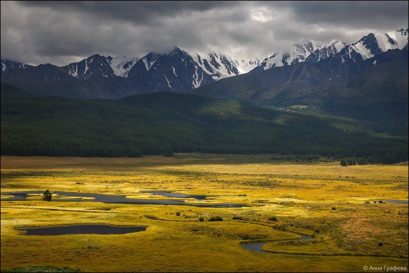 алтай, аня графова, горный алтай, горы, северо-чуйский хребет, урочище ештыкёль Хмурое лето урочища Ештыкёль фото превью