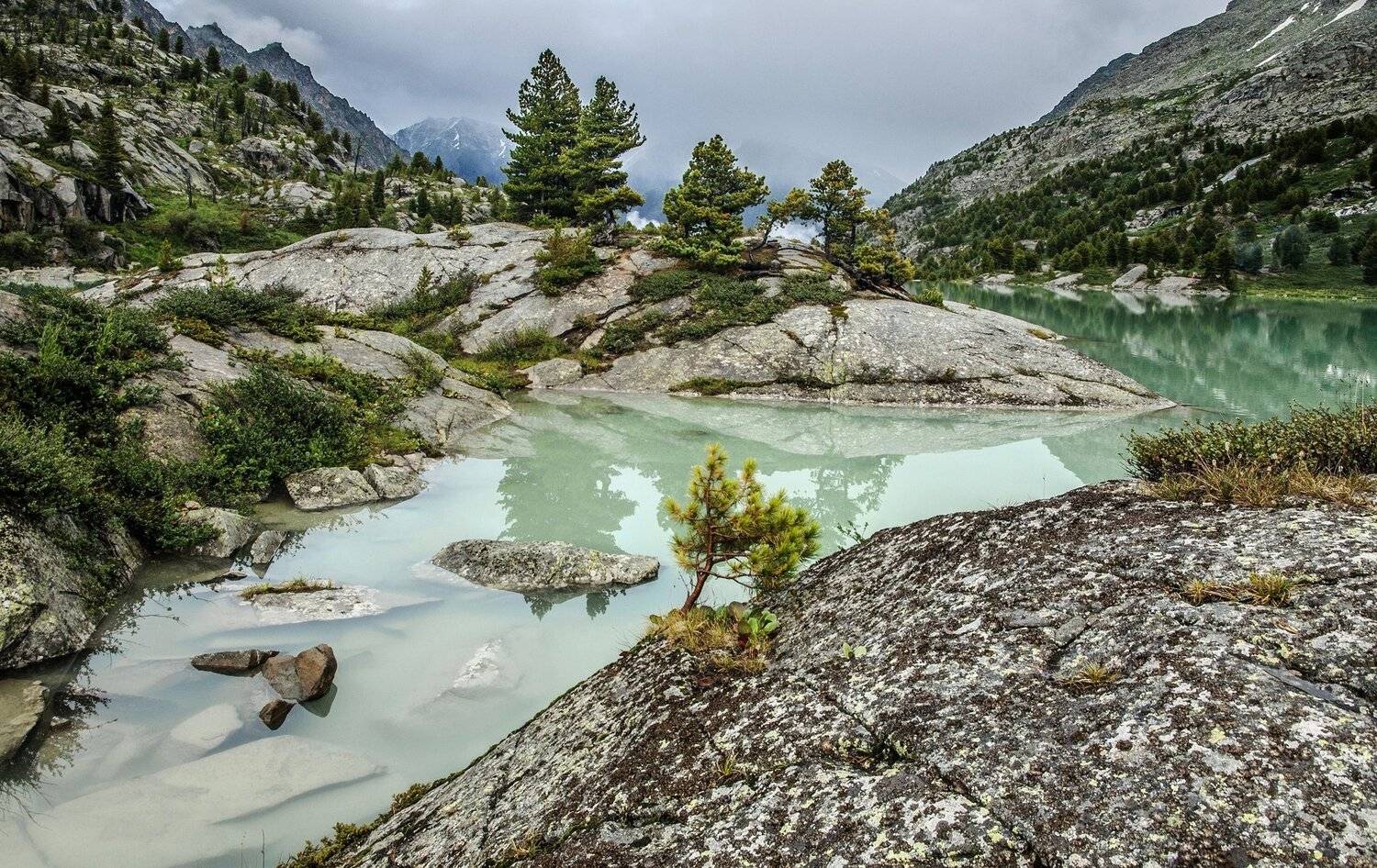 , Алексей Кретов