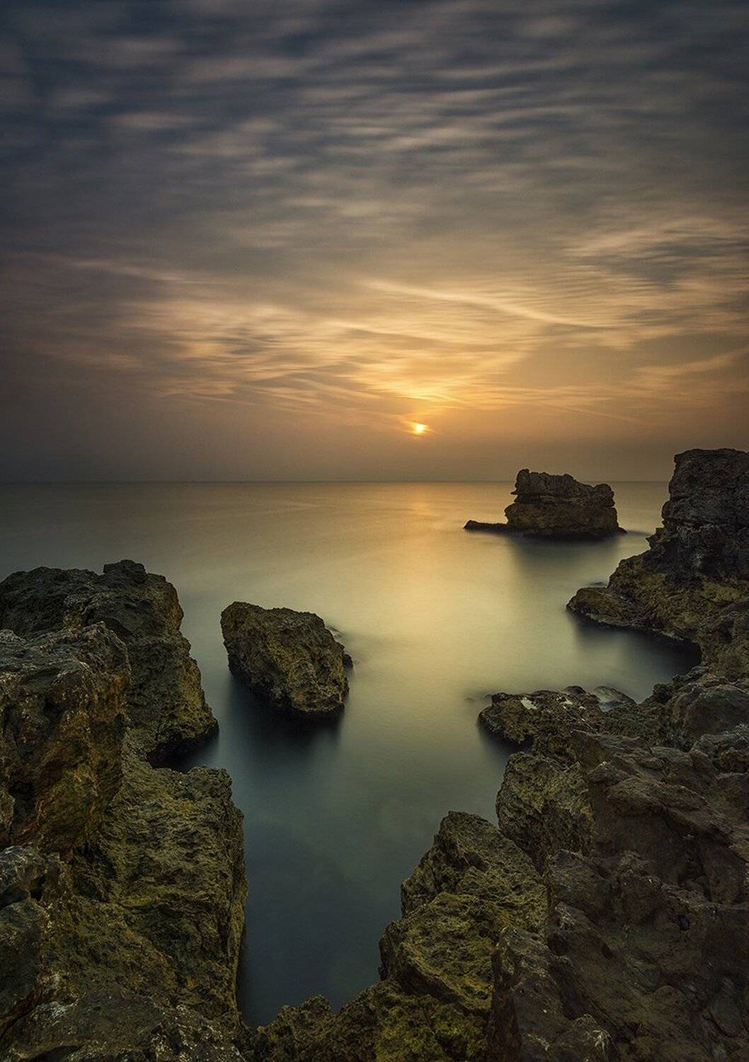 , Весела Маринова