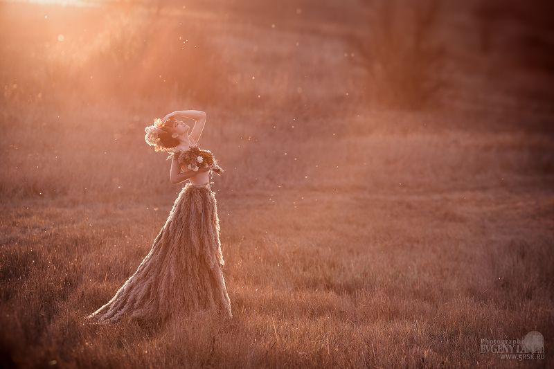 Камышовая невеста фото превью