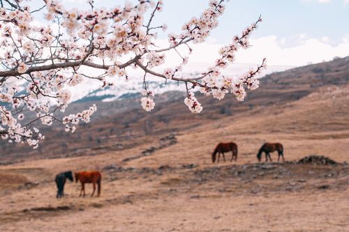 Привет, Весна!