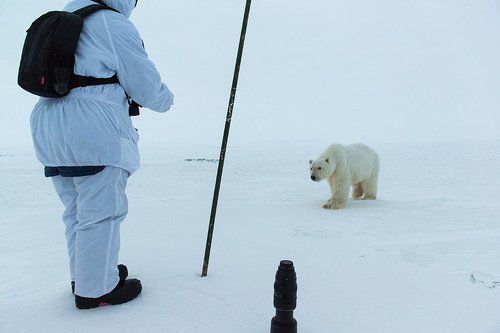 Медвежий патруль 3 