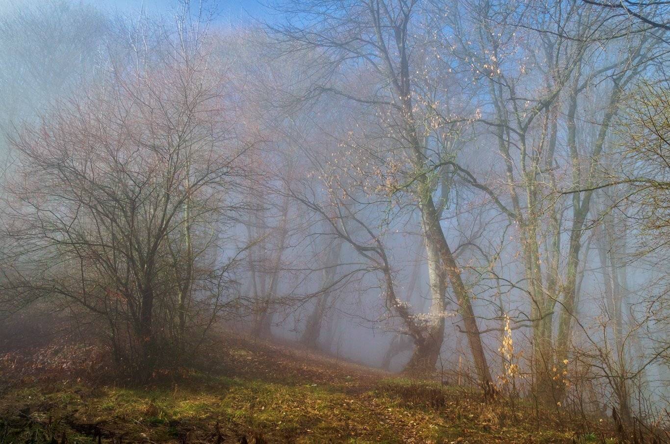 , Шевченко Юрий