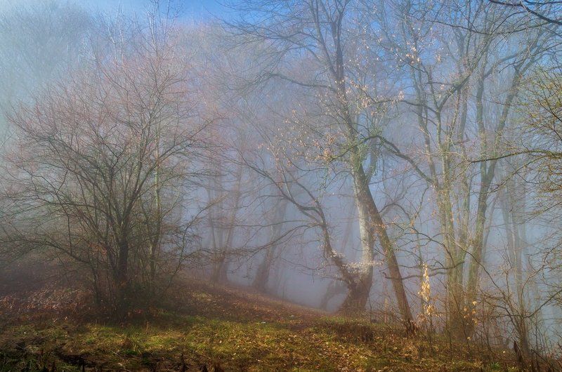 Мартовская акварель фото превью