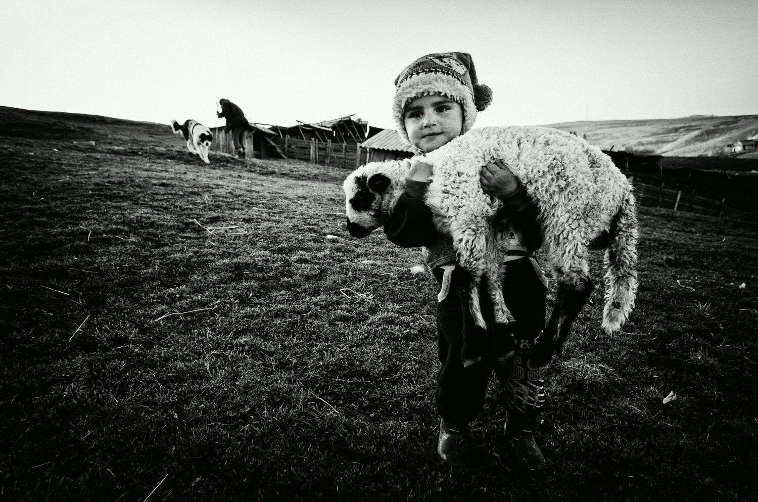 , Olari Ionut