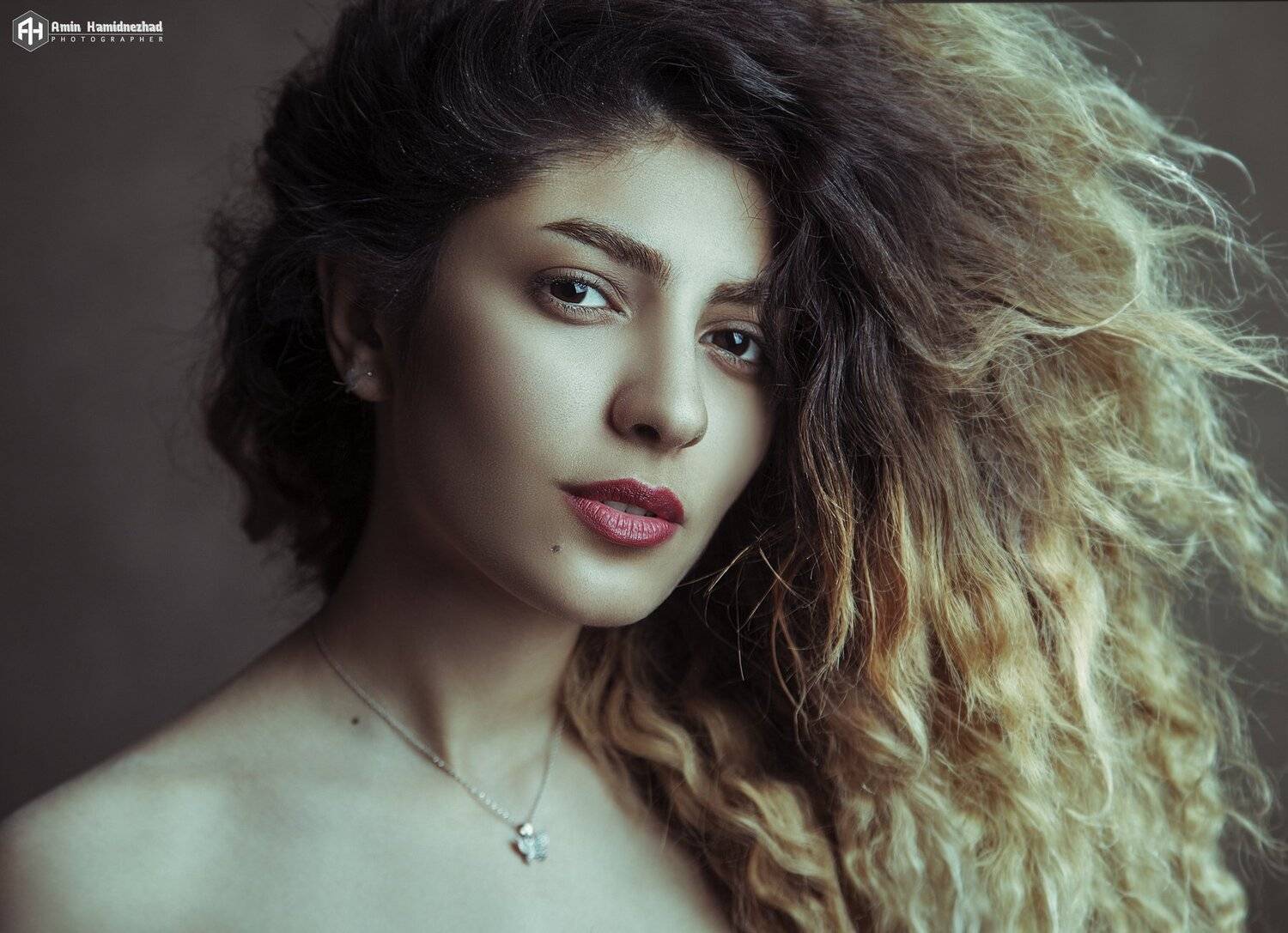 portrait#art#portraits#fineart#aminhamidnezhad#photoshoot, amin hamidnezhad