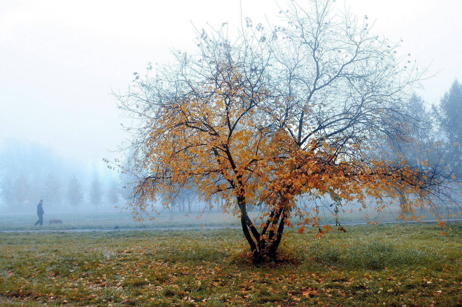 , Рудик Валерий