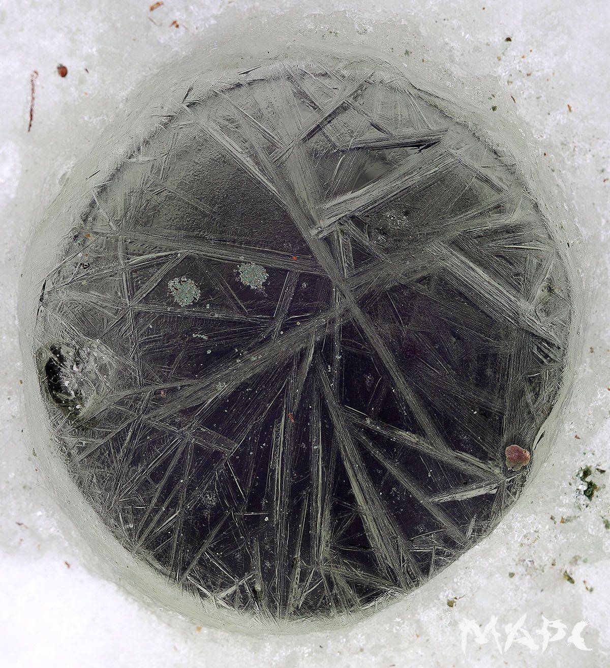 , Шангареев Марс