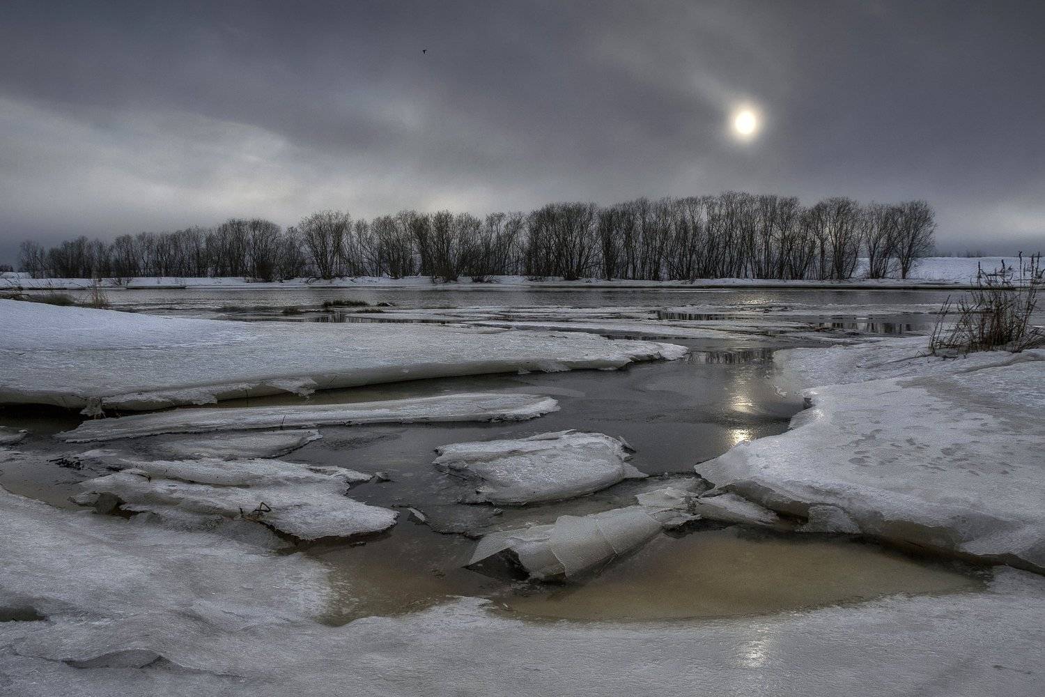 весна, март, лед, проталины, река, деревья, берег, солнце, затмение, Ра Вера