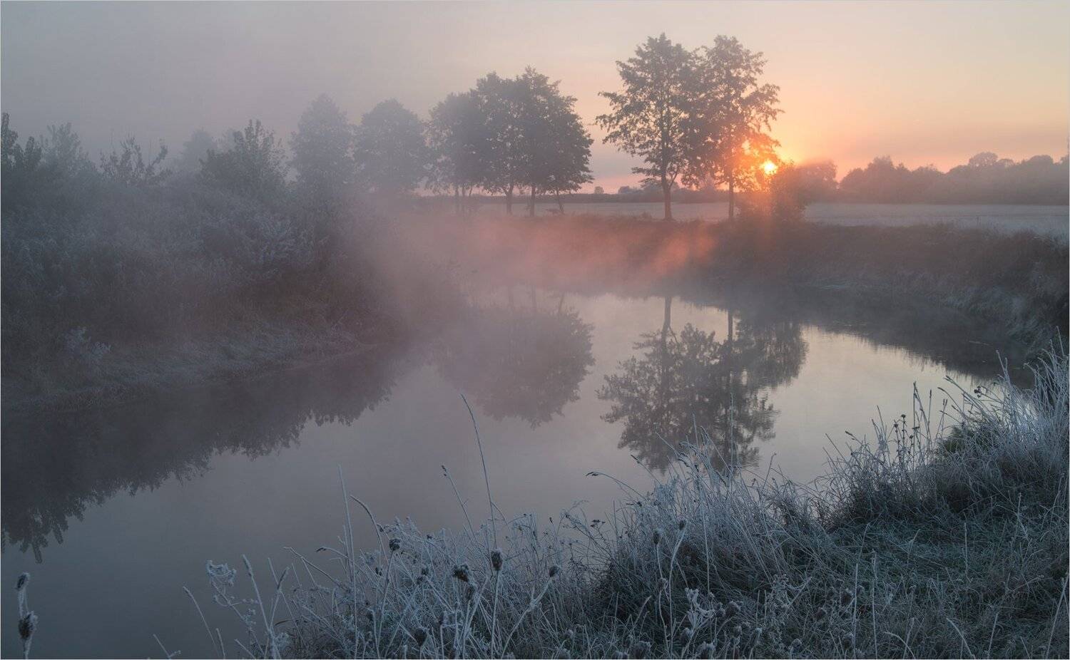 , Николай Шахманцир