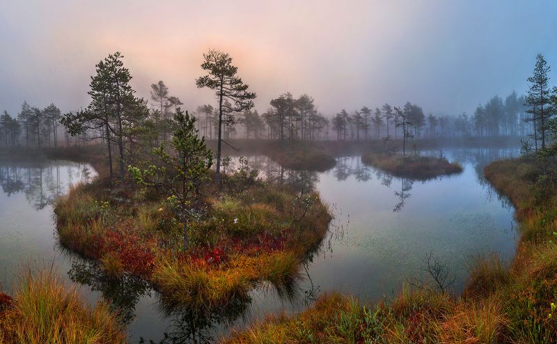 Поэзия болот. фото превью