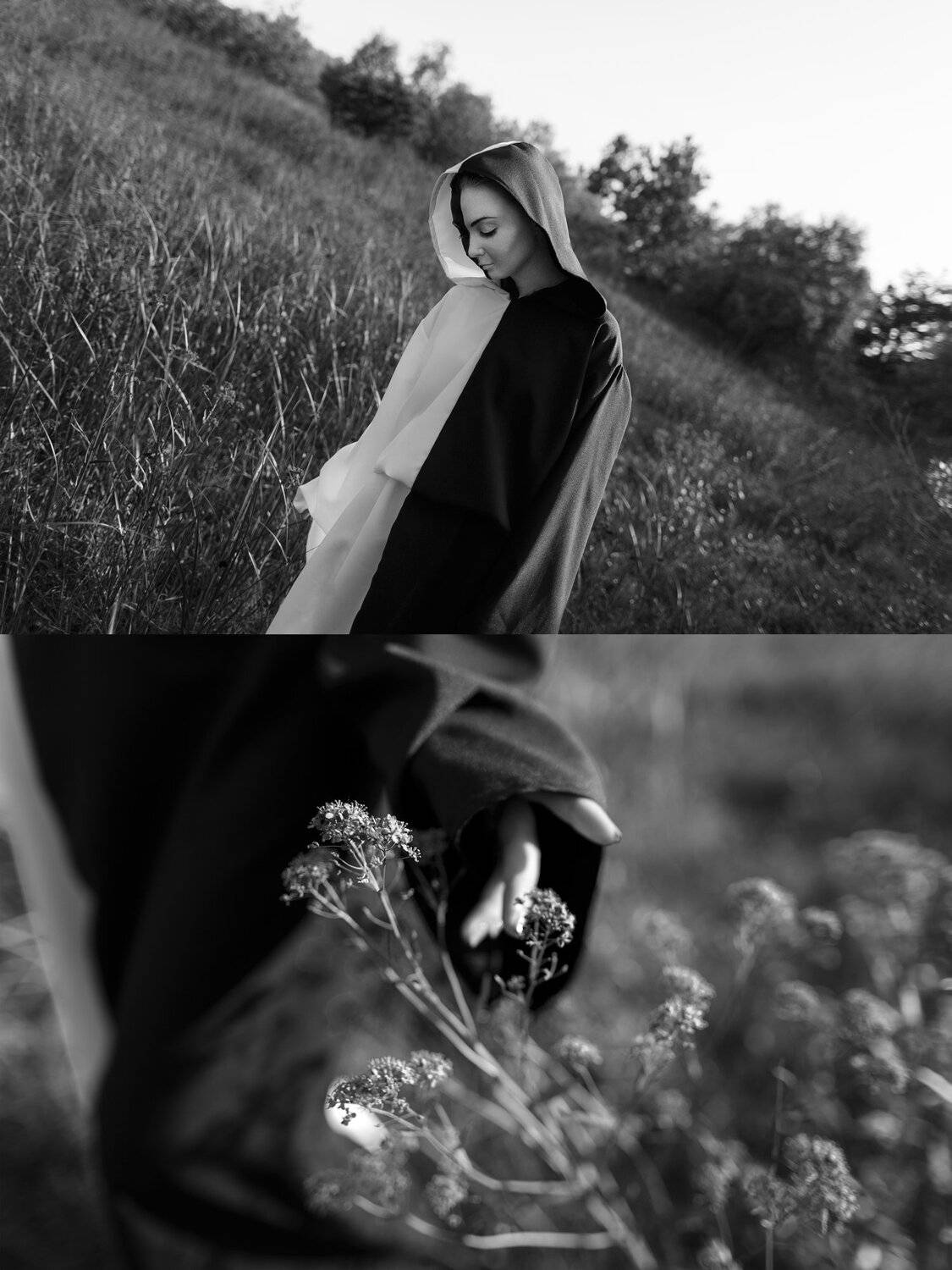 , Иван Лошицкий