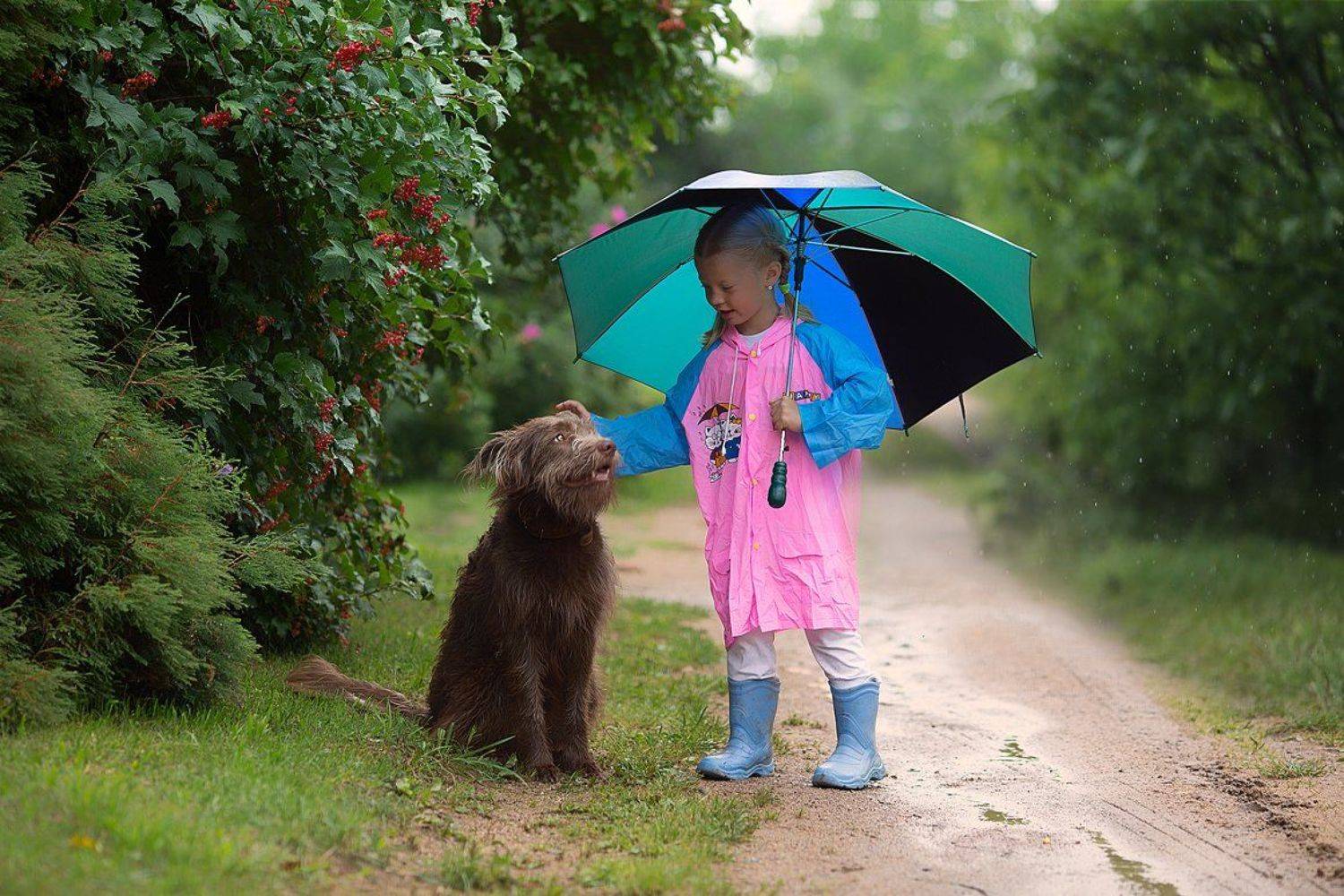 , Юлия Войнич