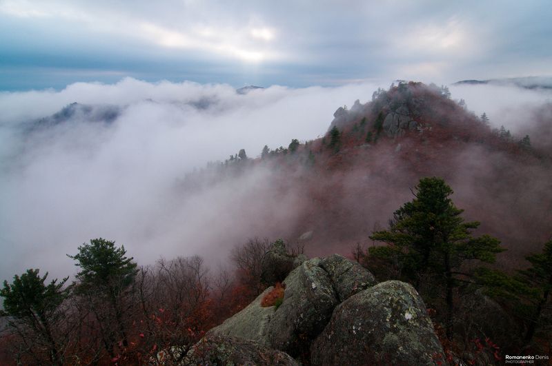 *** фото превью