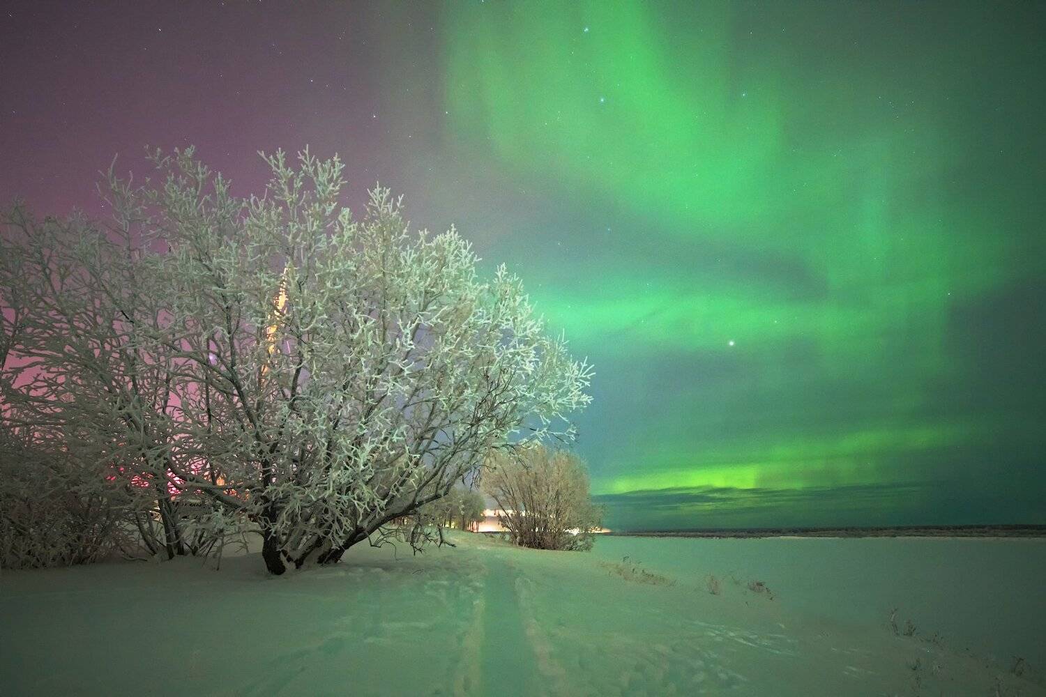 Aurora borealis, Komi, Pechora, Коми, Печора, Северное сияние, Игорь Подобаев