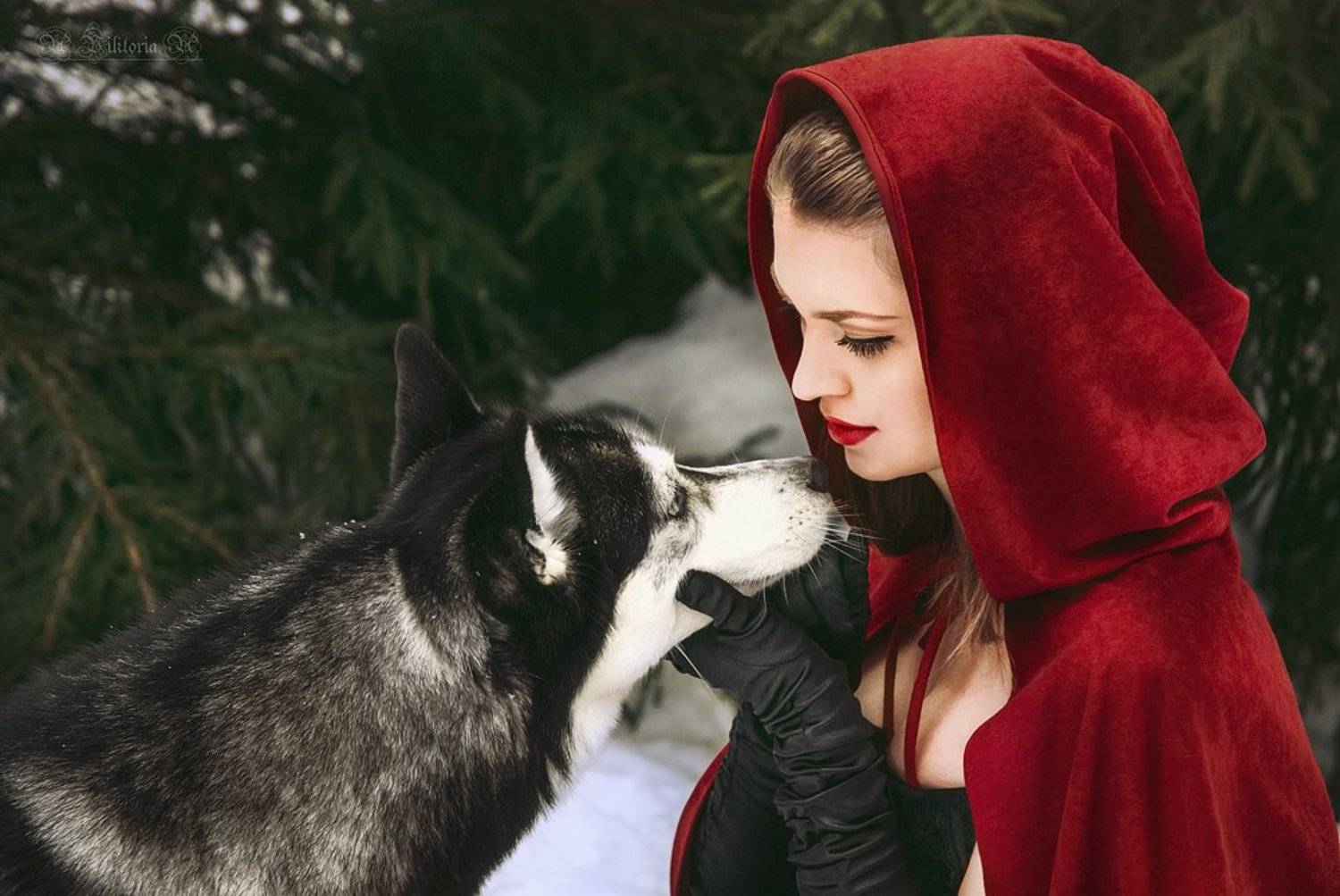 сказка, красная шапочка, фентези, Виктория Андреева