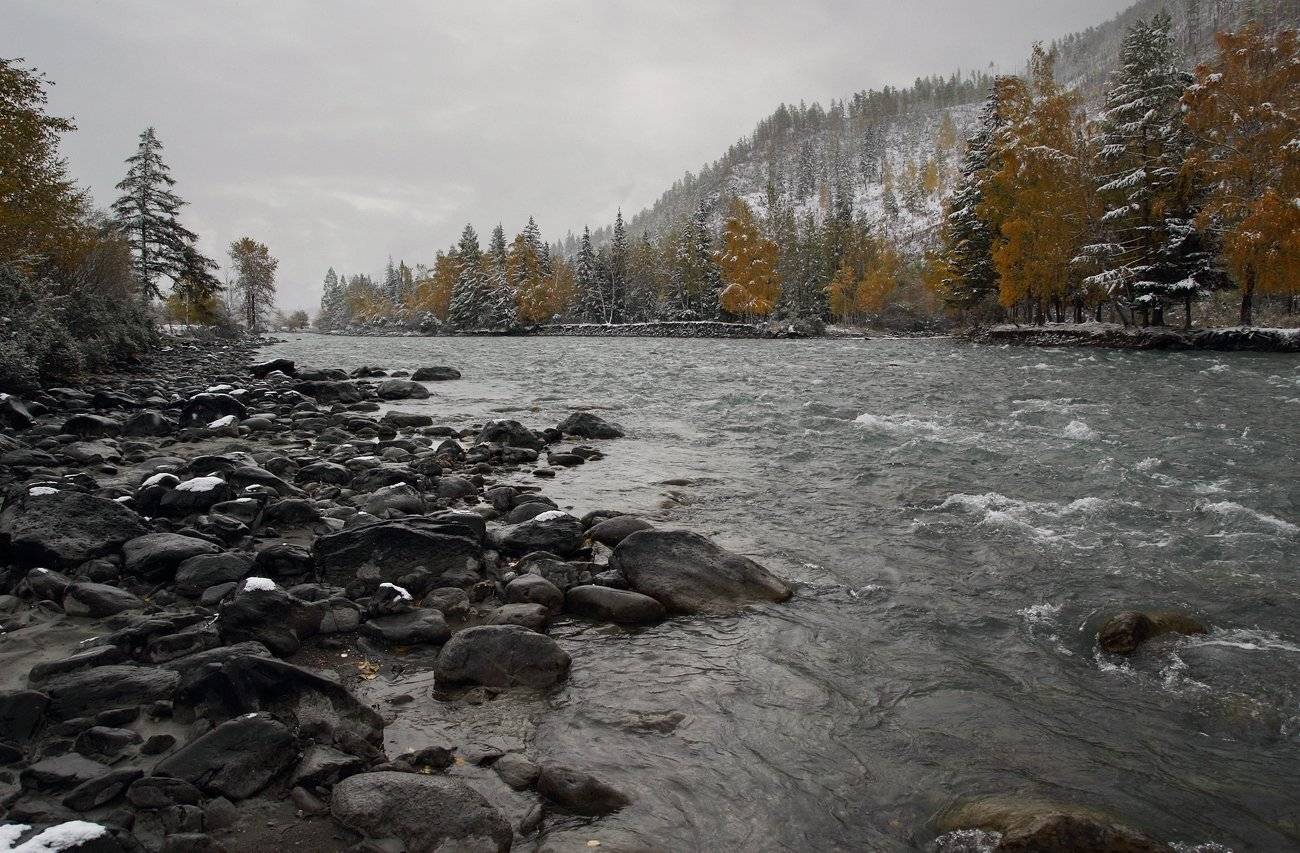 , Дмитрий Д.