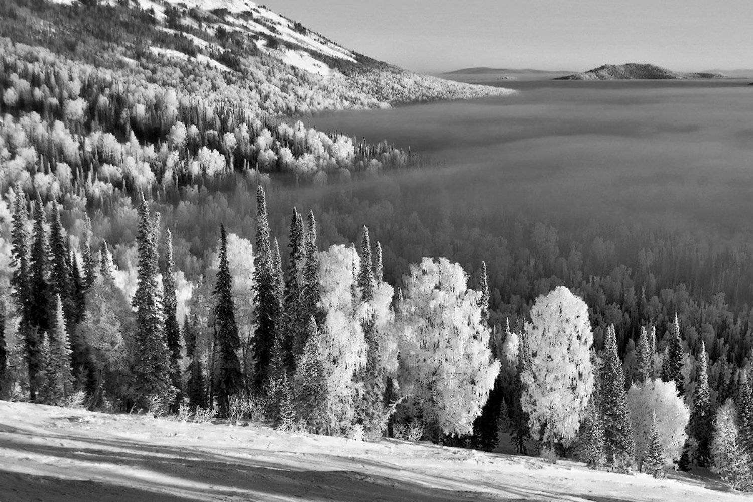 Берёзы, Горизонт, Горная шория, Дали, Зима, Иней, Облака, Пихты, Сибирь, Снег, Шерегеш, Валерий Пешков