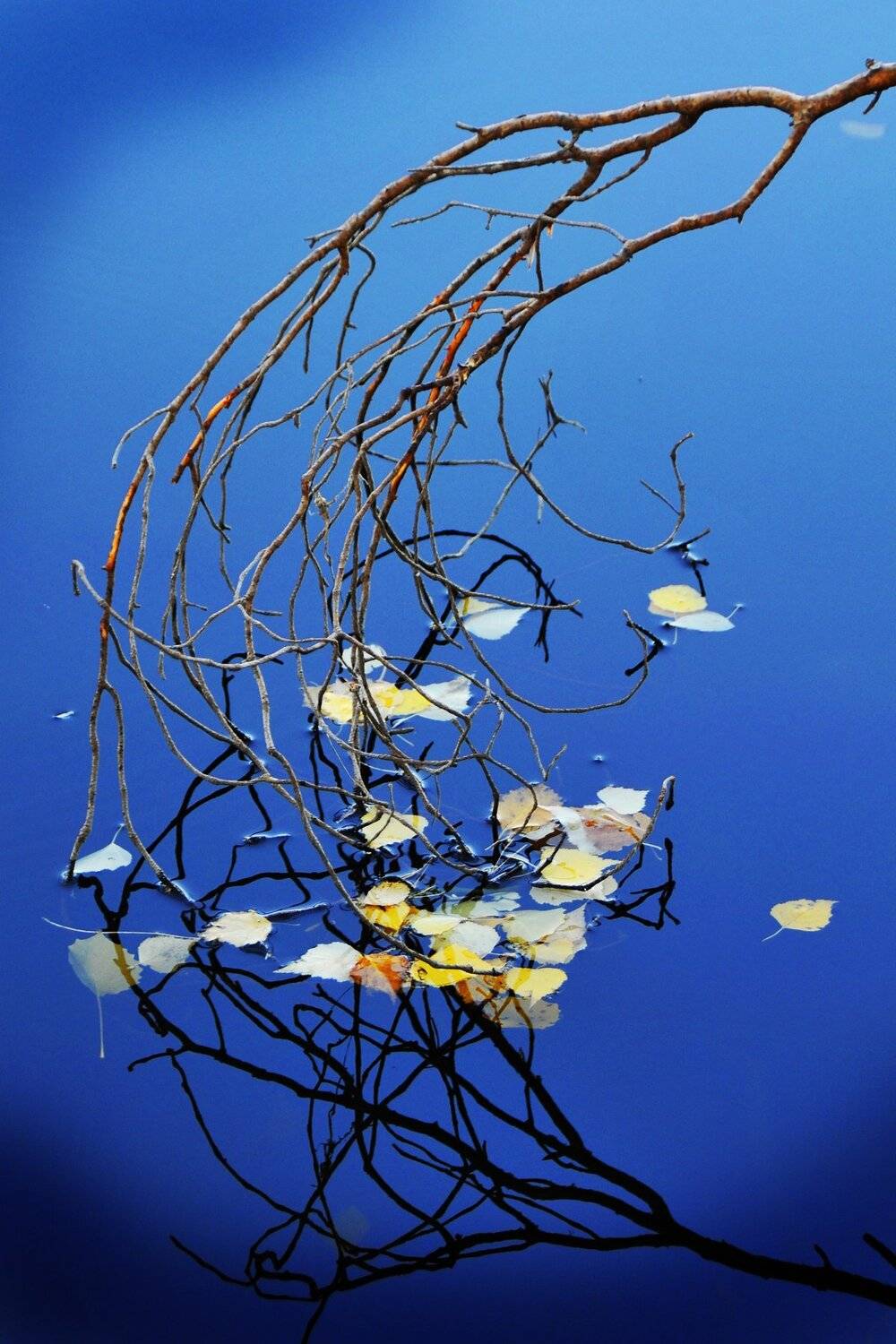 озеро. отражение. природа. вода., Дмитрий Ругис