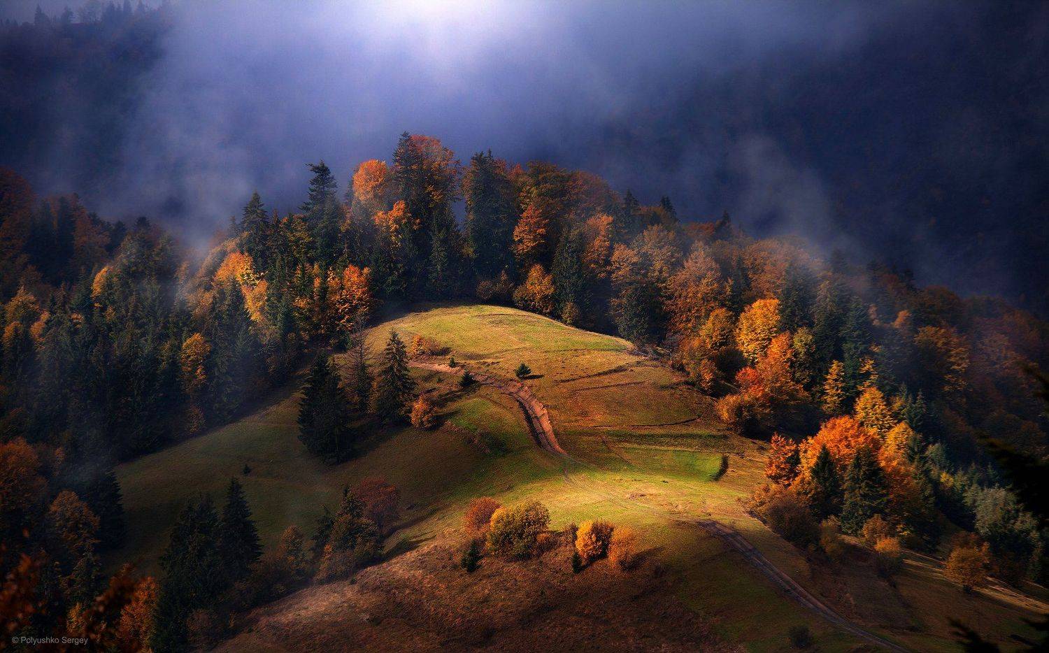 Горы, Карпаты, Осень, Туман, Полюшко Сергей