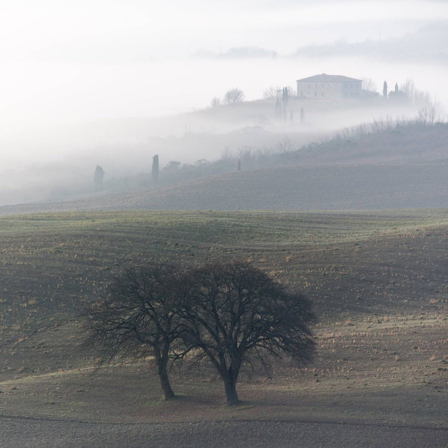 , Лядимов Дмитрий