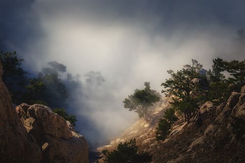 На склонах Ай-Петри