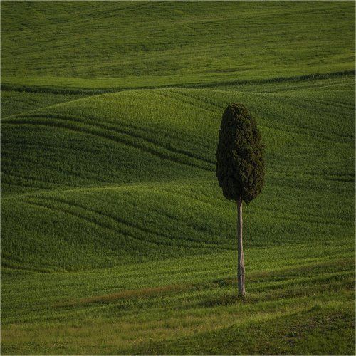 Tuscany in the square.