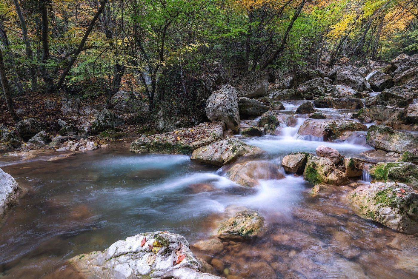 природа, вода, река, лес, осень, Dmitriy  Baginskiy