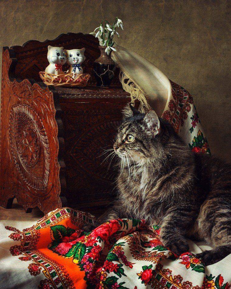 фото, кот, фигурки кошек, Ирина Приходько