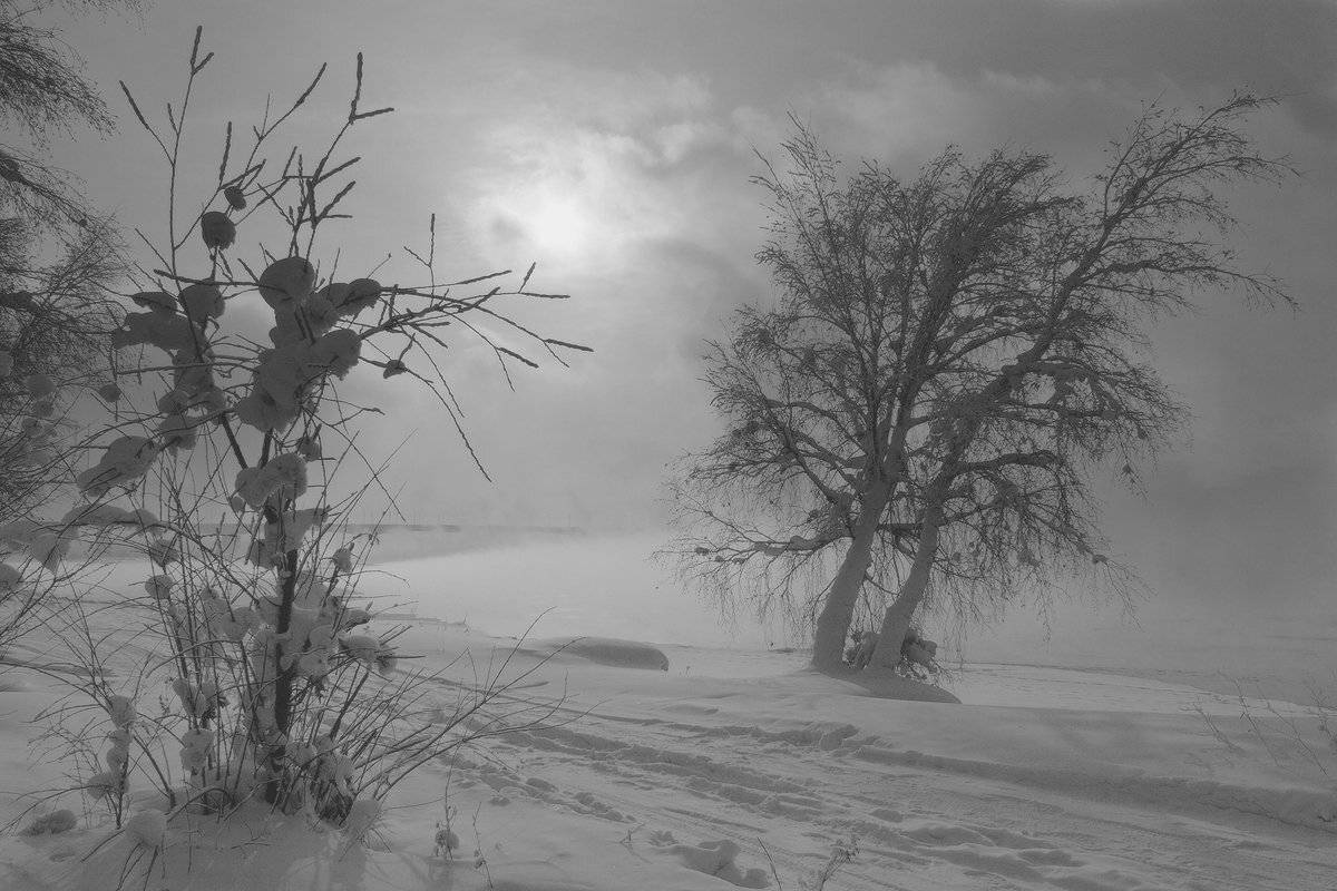 , Николай Морский