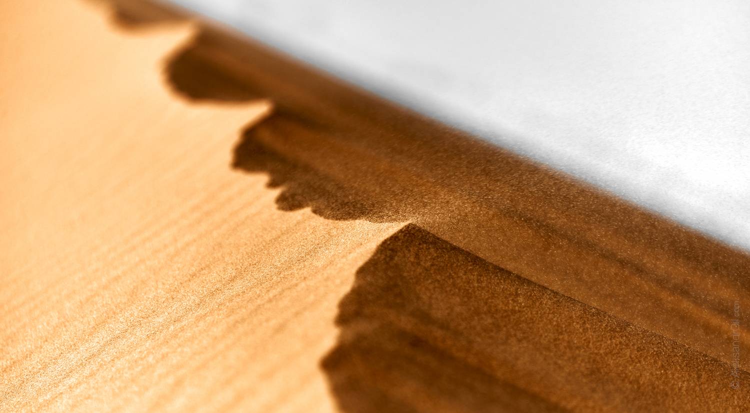 , Гиль Александр