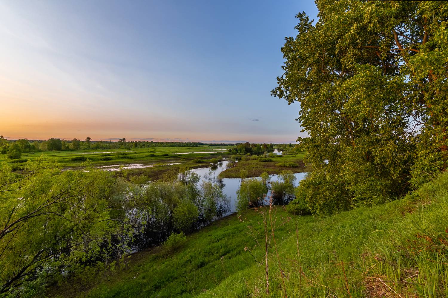 луга, вода, гора, дерево, кустарник, речка, Анкудинов Леонид