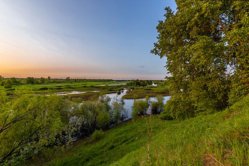 луга, вода, гора, дерево, кустарник, речка Заливные луга. фото превью