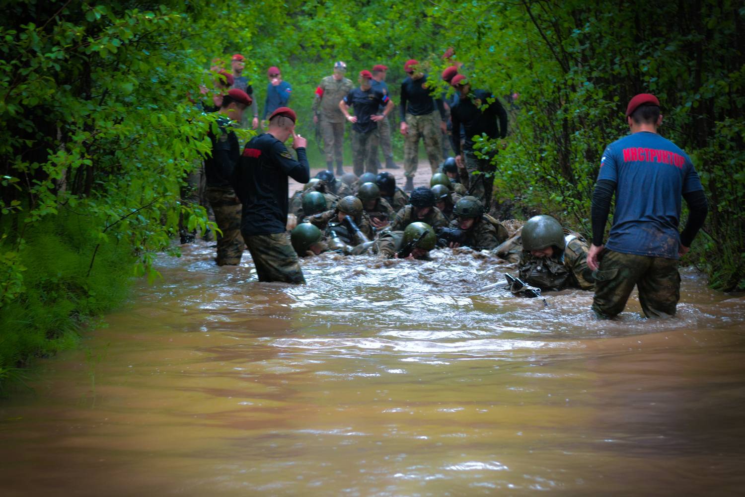 , Алексей Ильин