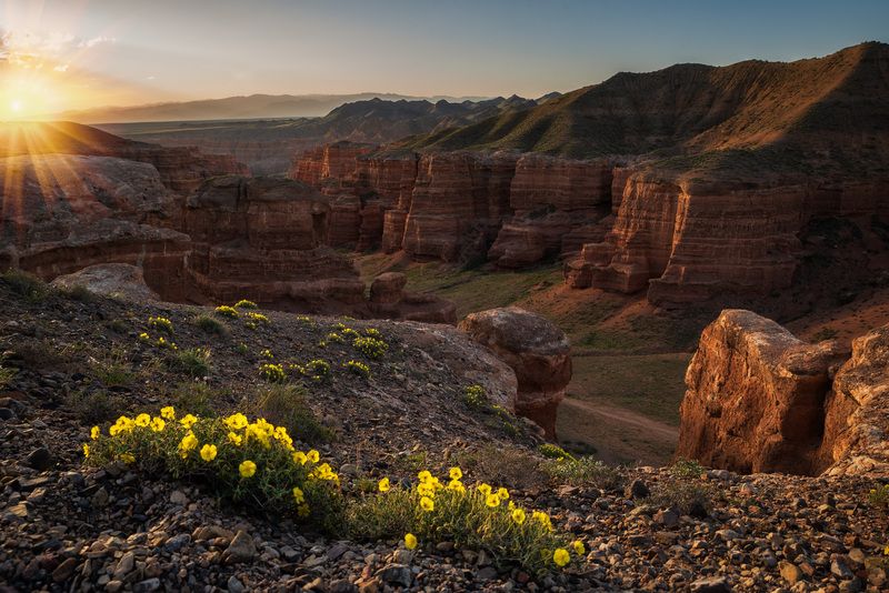 Утро в Чарынском каньоне фото превью