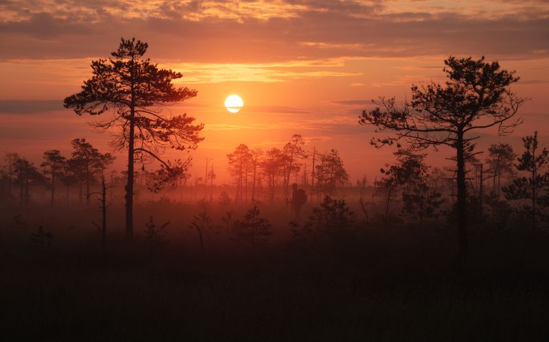 У пошуках прыгод  фото превью