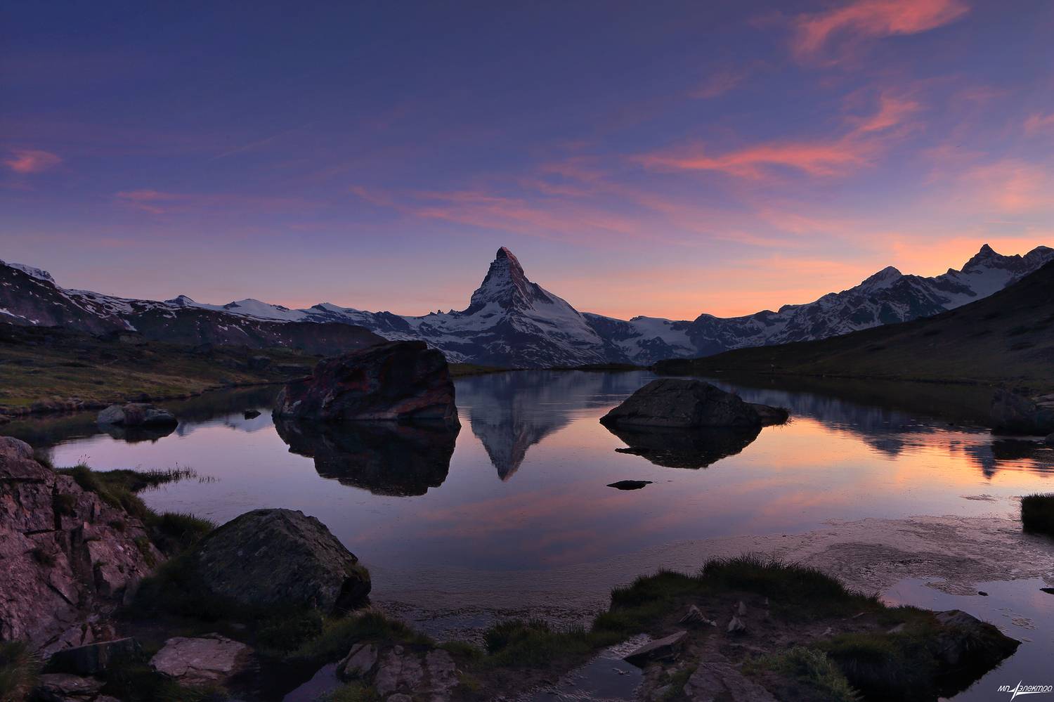 swiss, Матвеев Николай