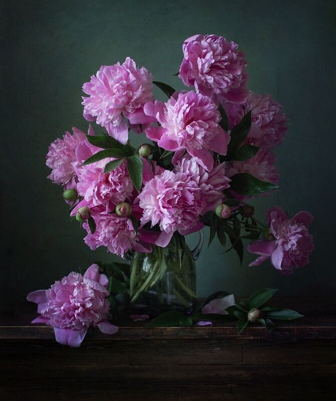 Его высочество - Пион. фото превью